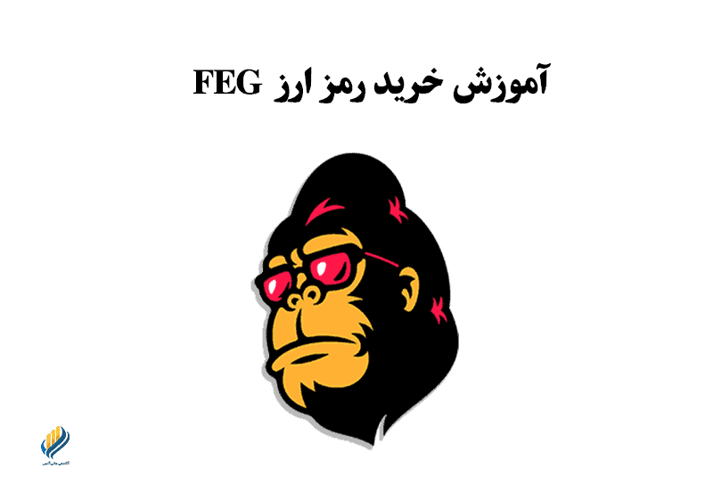 آموزش خرید رمزارز FEG