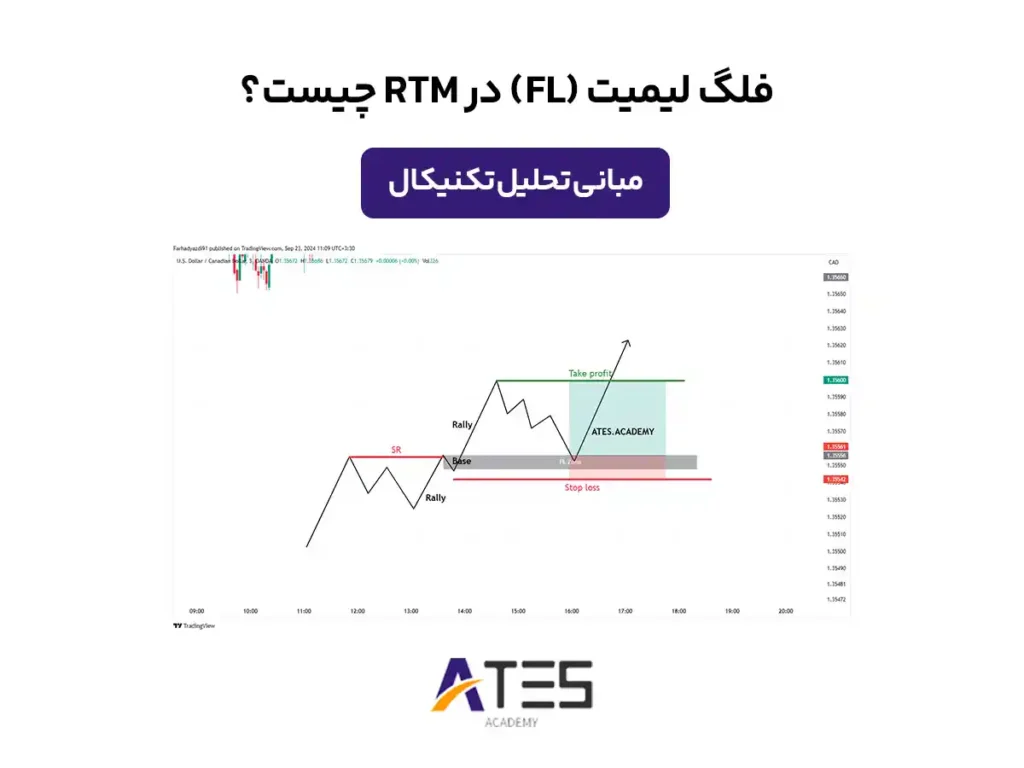 فلگ لیمیت چیست