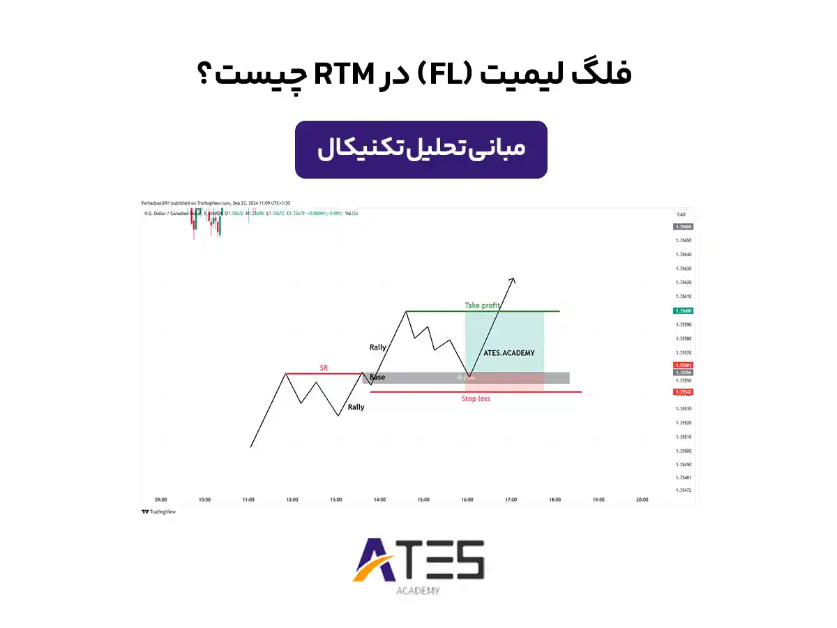 فلگ لیمیت چیست