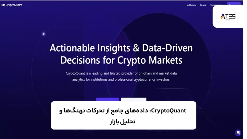 CryptoQuant ابزاری برای رهگیری نهنگ‌ها