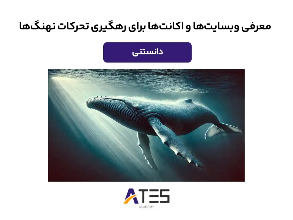 رهگیری نهنگ‌ها