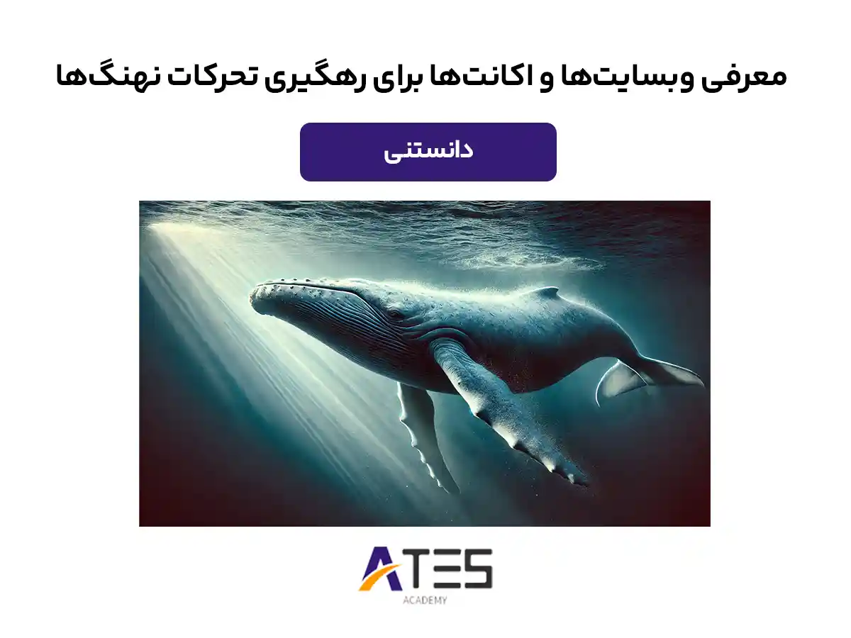 رهگیری نهنگ‌ها